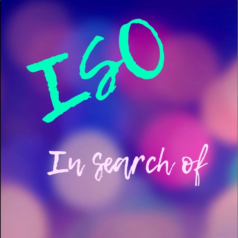 IN SEARCH OF M/L - Picture 1 of 6